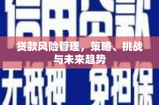 灌阳贷款风险管理，策略、挑战与未来趋势