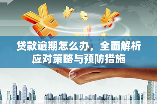 灌阳贷款逾期怎么办，全面解析应对策略与预防措施