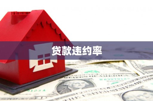 灌阳贷款违约率