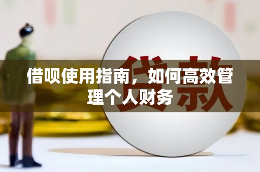 灌阳借呗使用指南，如何高效管理个人财务