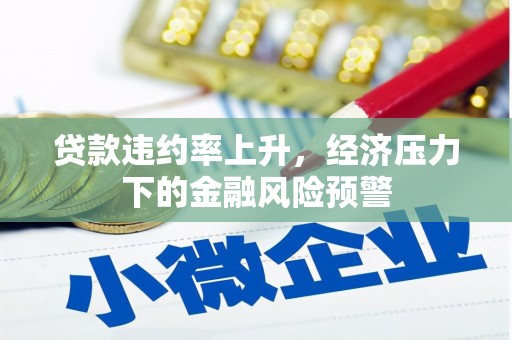 灌阳贷款违约率上升，经济压力下的金融风险预警