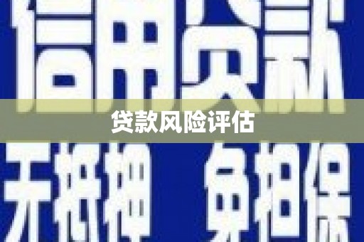 灌阳贷款风险评估
