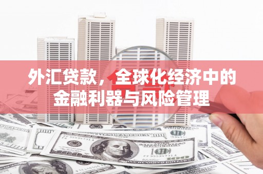灌阳外汇贷款，全球化经济中的金融利器与风险管理