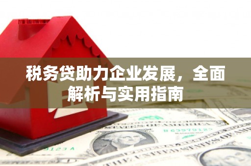 灌阳税务贷助力企业发展，全面解析与实用指南