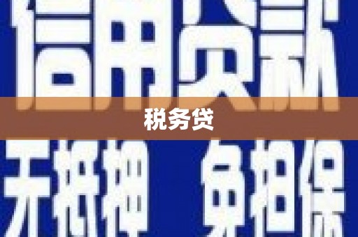 灌阳税务贷