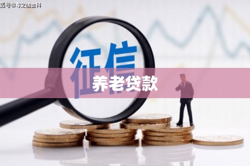 灌阳养老贷款