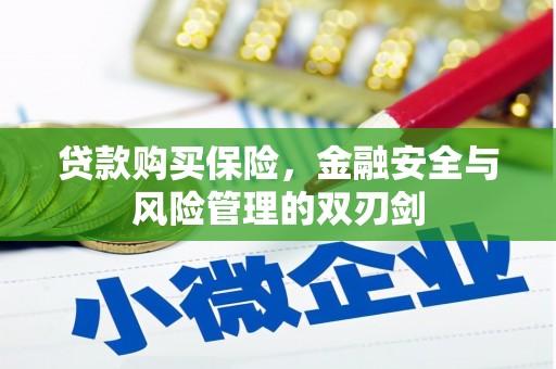灌阳贷款购买保险，金融安全与风险管理的双刃剑
