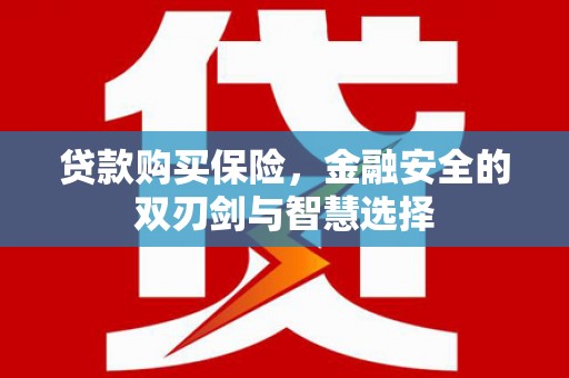 灌阳贷款购买保险，金融安全的双刃剑与智慧选择