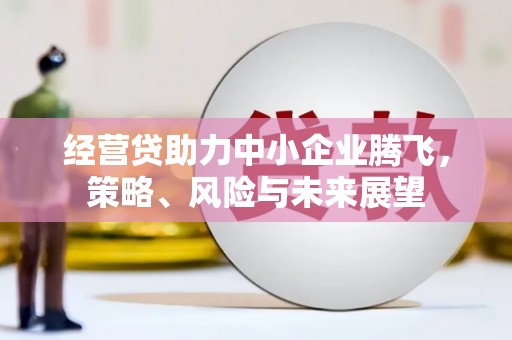 灌阳经营贷助力中小企业腾飞，策略、风险与未来展望
