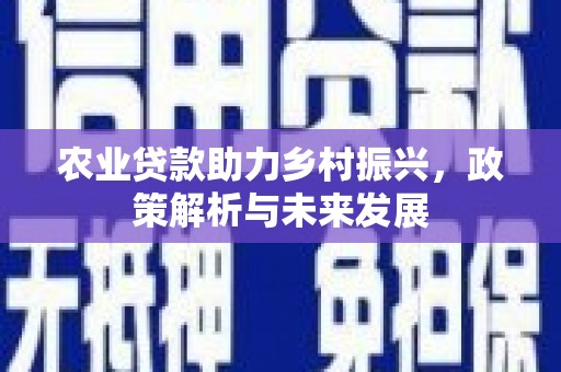 灌阳农业贷款助力乡村振兴，政策解析与未来发展