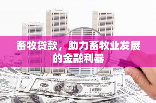 灌阳畜牧贷款，助力畜牧业发展的金融利器