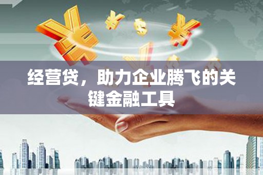灌阳经营贷，助力企业腾飞的关键金融工具