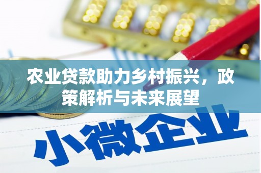 灌阳农业贷款助力乡村振兴，政策解析与未来展望