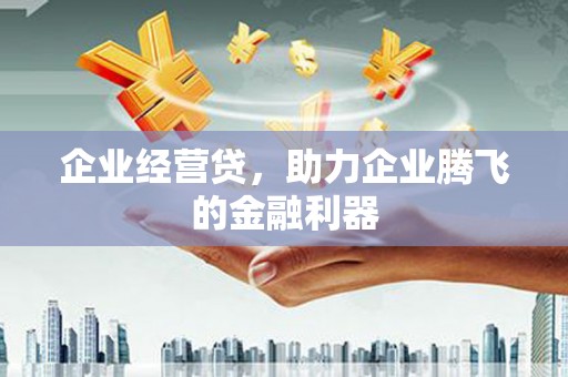 灌阳企业经营贷，助力企业腾飞的金融利器