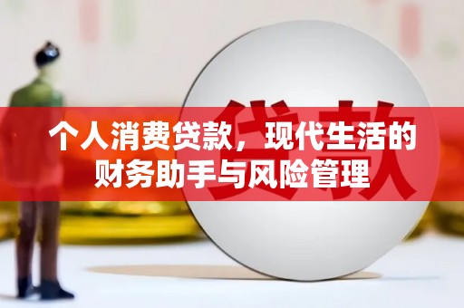 灌阳个人消费贷款，现代生活的财务助手与风险管理