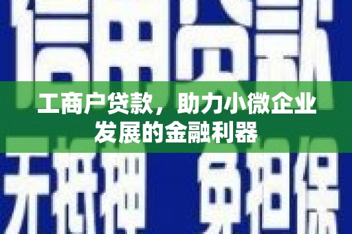 灌阳工商户贷款，助力小微企业发展的金融利器