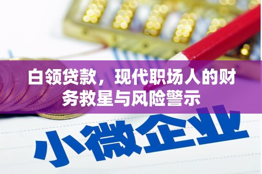 灌阳白领贷款，现代职场人的财务救星与风险警示