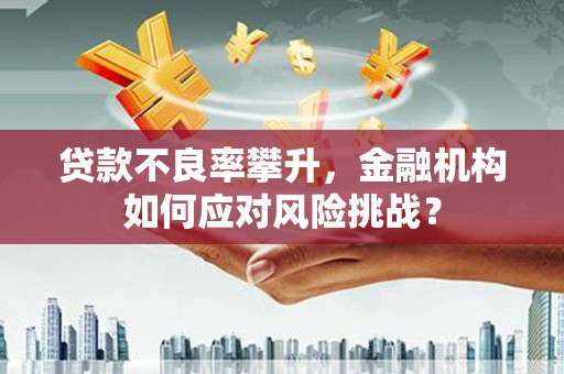 灌阳贷款不良率攀升，金融机构如何应对风险挑战？