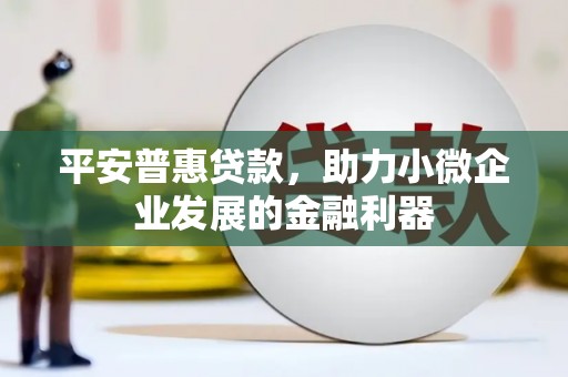 灌阳平安普惠贷款，助力小微企业发展的金融利器