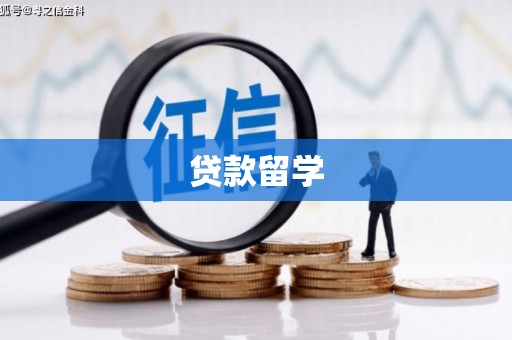 灌阳贷款留学