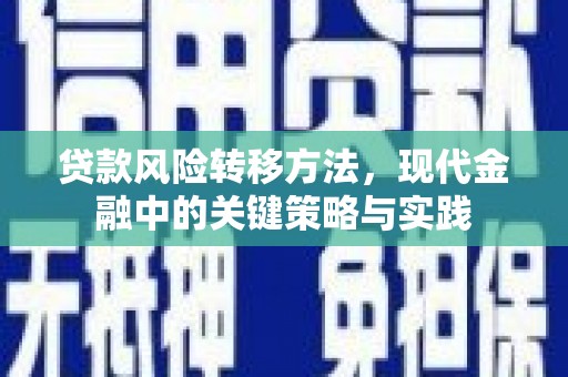 灌阳贷款风险转移方法，现代金融中的关键策略与实践
