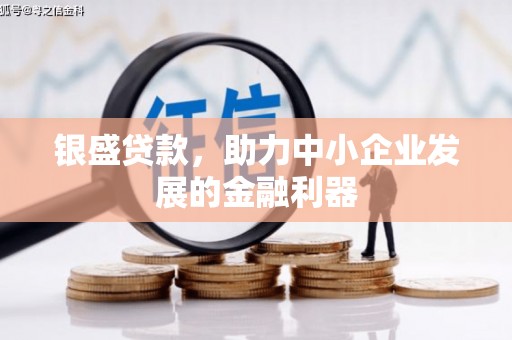 灌阳银盛贷款，助力中小企业发展的金融利器