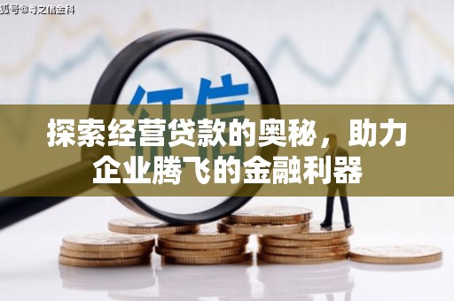 灌阳探索经营贷款的奥秘，助力企业腾飞的金融利器