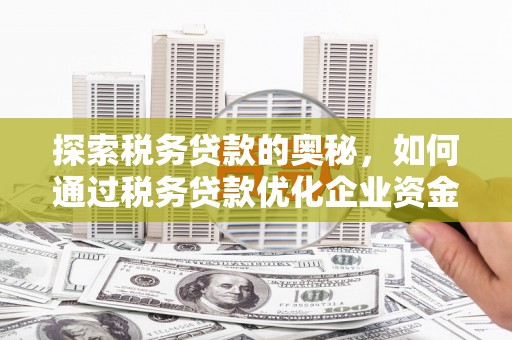 灌阳探索税务贷款的奥秘，如何通过税务贷款优化企业资金流