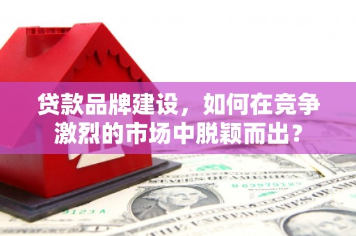 灌阳贷款品牌建设，如何在竞争激烈的市场中脱颖而出？