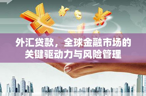 灌阳外汇贷款，全球金融市场的关键驱动力与风险管理