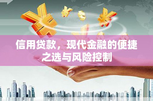 灌阳信用贷款，现代金融的便捷之选与风险控制