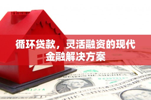 灌阳循环贷款，灵活融资的现代金融解决方案