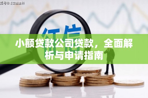 灌阳小额贷款公司贷款，全面解析与申请指南