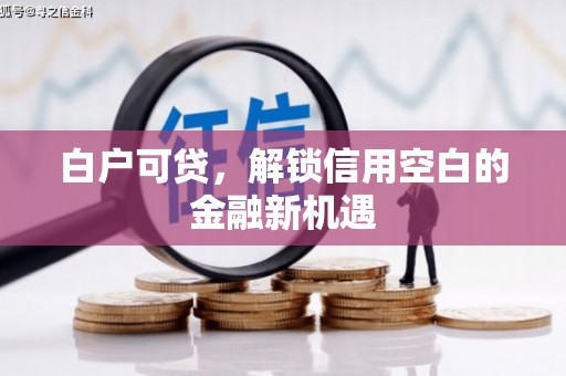 灌阳白户可贷，解锁信用空白的金融新机遇