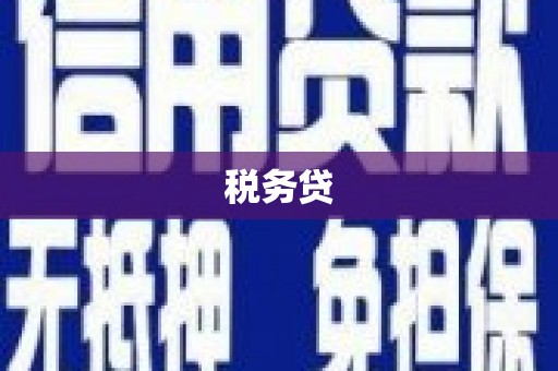 灌阳税务贷
