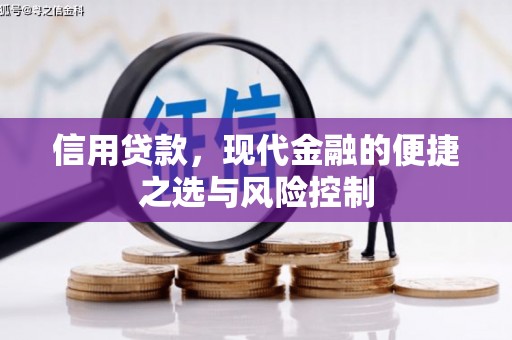 灌阳信用贷款，现代金融的便捷之选与风险控制