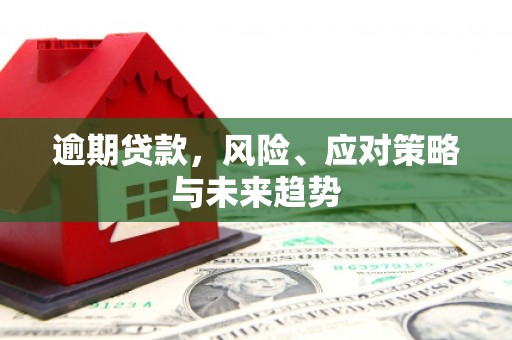 灌阳逾期贷款，风险、应对策略与未来趋势