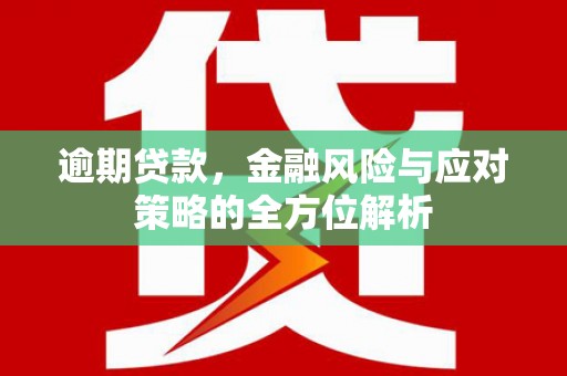 灌阳逾期贷款，金融风险与应对策略的全方位解析