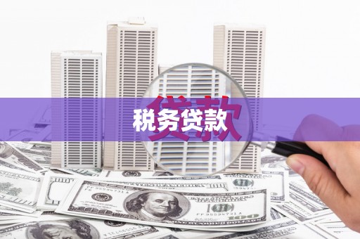 灌阳税务贷款