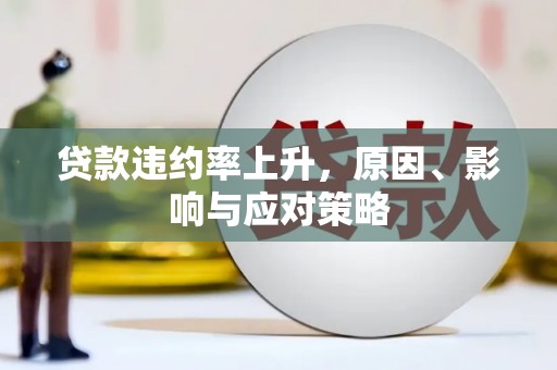 灌阳贷款违约率上升，原因、影响与应对策略