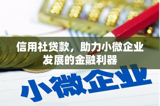 灌阳信用社贷款，助力小微企业发展的金融利器