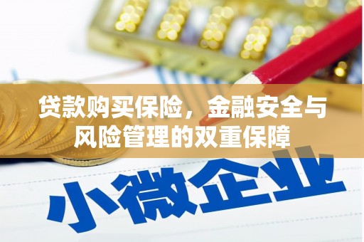 灌阳贷款购买保险，金融安全与风险管理的双重保障