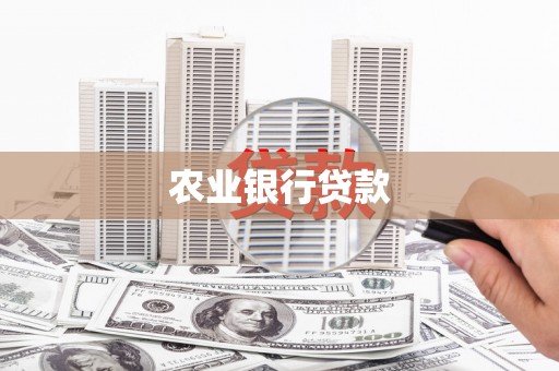 灌阳农业银行贷款