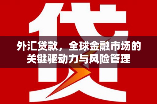灌阳外汇贷款，全球金融市场的关键驱动力与风险管理