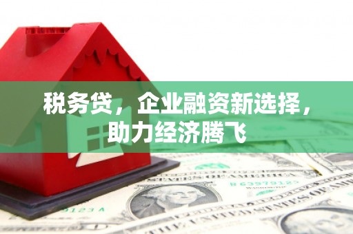 灌阳税务贷，企业融资新选择，助力经济腾飞