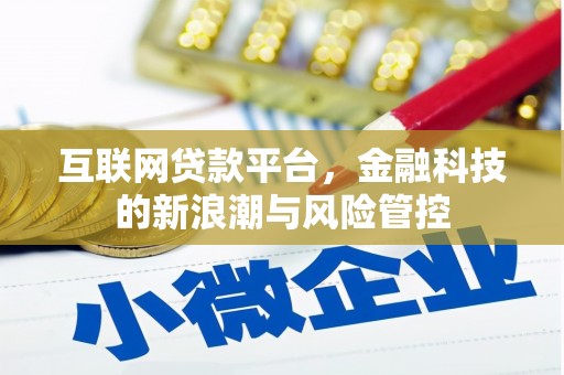 灌阳互联网贷款平台，金融科技的新浪潮与风险管控