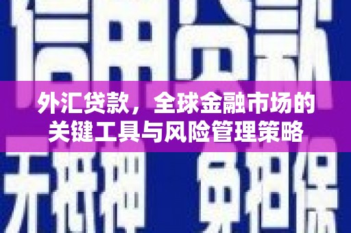 灌阳外汇贷款，全球金融市场的关键工具与风险管理策略