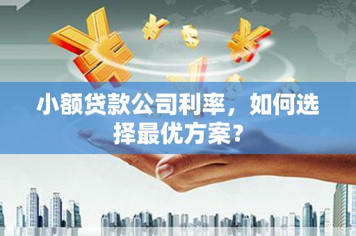灌阳小额贷款公司利率，如何选择最优方案？