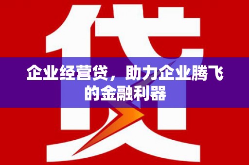 灌阳企业经营贷，助力企业腾飞的金融利器
