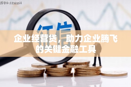 灌阳企业经营贷，助力企业腾飞的关键金融工具